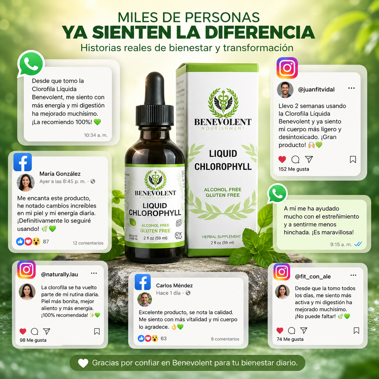 Clorofila Benevolent - Siente tu cuerpo mas ligero en todo el día