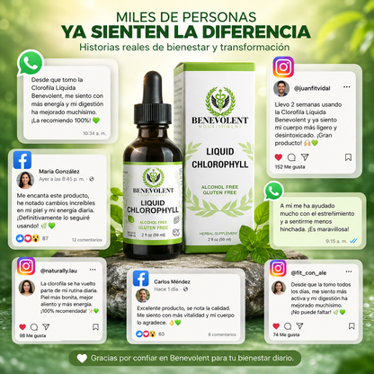 Clorofila Benevolent - Siente tu cuerpo mas ligero en todo el día